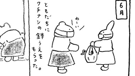 「火曜日のくま子さん」ベランダの攻防