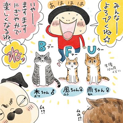 保護猫３兄弟が加入 ついに１ワン８ニャンの大家族に お茶目っ子日記 人間関係 婦人公論 Jp