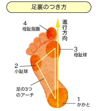 50代からの正しい歩き方 大殿筋をしっかり使える 小股歩き のすすめ 21年5月1日 Biglobeニュース