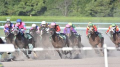 獣医師　日本のビッグレースで栗毛馬をあまり見かけなくなったワケ。一部の種牡馬への人気集中が競馬界に招く「不都合な事実」