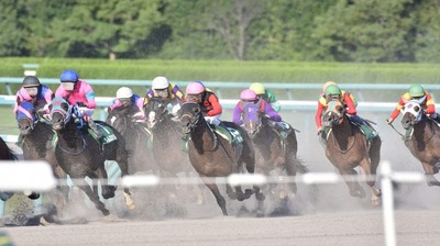 獣医師 日本のビッグレースで栗毛馬をあまり見かけなくなったワケ。一部の種牡馬への人気集中が競馬界に招く「不都合な事実」