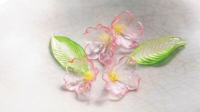 【京の菓子】陽に透けて光る桜の花を有平糖に　〜紫野源水「桜」