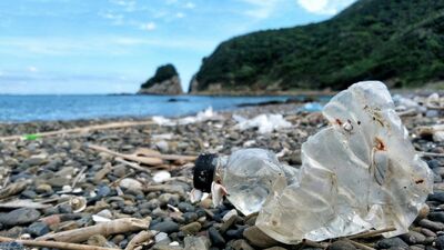 レジ袋、ペットボトル…プラごみが海に流出。マイクロプラスチックの見えない脅威