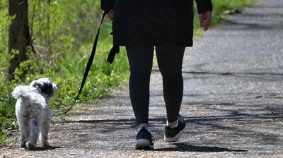 日本にはなかった「散歩」。1日30分で身心の健康に対して大きな効果が。音楽を聴きながら行うと自律神経のバランスも整えられる