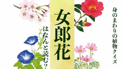 【女郎花】はなんと読む?〈身のまわりの植物クイズに挑戦!〉
