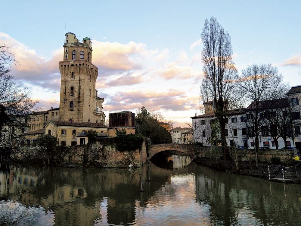 ヤマザキマリ レストランの常連だったお年寄りの笑顔が与えてくれた安堵と勇気 21年7月28日 Biglobeニュース