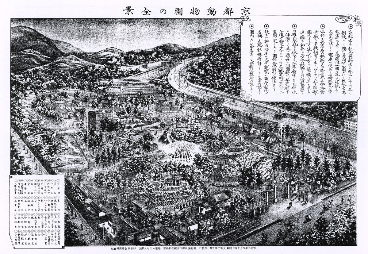 4ページ目 日本初の上野動物園にゾウやキリンが来たのはいつ 帝都を震撼させた クロヒョウ脱走事件 も 話題 婦人公論 Jp