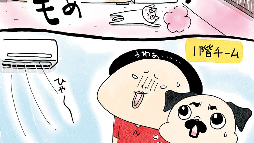 もっと太陽カモン! 真夏の日光浴を楽しむニャンコたち