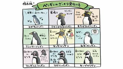 ギネス級のラインアップ！地球にいるペンギンの半分に会える「長崎ペンギン水族館」　世界初の海で泳ぐ展示、ビーチでくつろぐ姿に癒される
