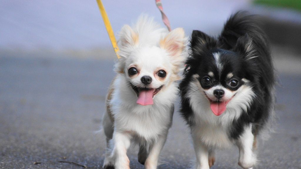 3ページ目 働き盛りの私を襲った悪性リンパ腫 会いたい あの日の顔も知らない戦友たちに ３ 読者体験手記 婦人公論 Jp