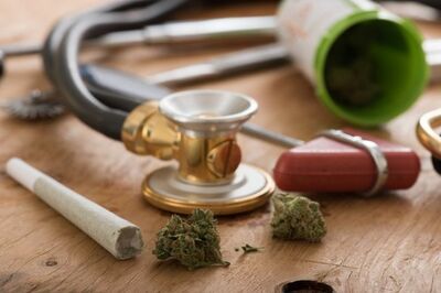 合法だから研究して当然！大麻業界で活躍する専門家を育成するべく初めて「大麻専攻」を作った北ミシガン州立大学で教えていることとは