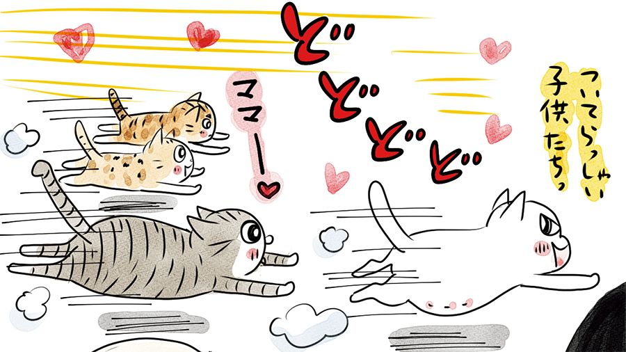 新入り保護猫3兄妹に、先輩犬猫たちの反応は…シャー!それとも大歓迎?