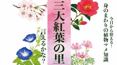 【三大紅葉の里】言えるかな?〈身のまわりの植物マメ知識〉