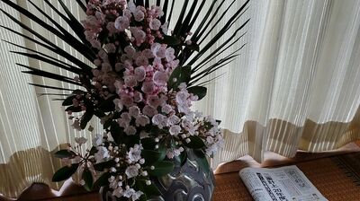 認知症の母と娘の2人暮らし。朝起きると2つのことを心に誓うが…今日も繰り返される「グダグダの野菜炒め」と「ロシア人のニコライさん」