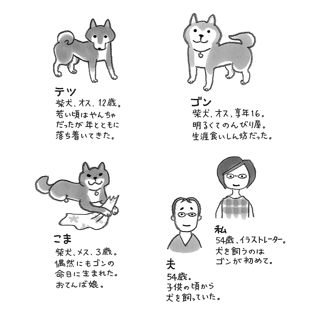 イラストエッセイ 愛するペットとの別れ どう受け止める 人間関係 婦人公論 Jp