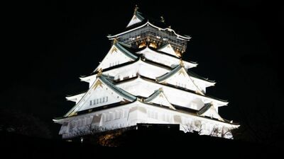 豊臣家は本当に滅びなければならなかったのか?「徳川に徹底的に臣従していたら」「秀頼自ら大坂城を出ていれば」…本郷和人が考えた現実的な<生き延びる道>