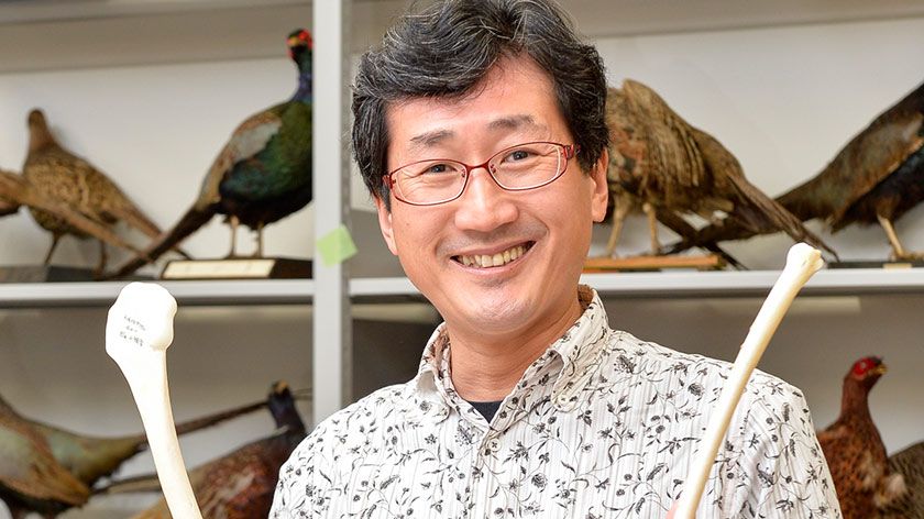 給料日前の救世主、鶏ムネ肉。安さと大きさには進化上の理由が