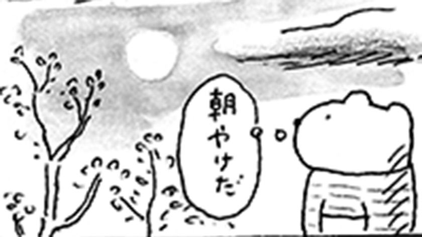 「火曜日のくま子さん」眠れない朝には