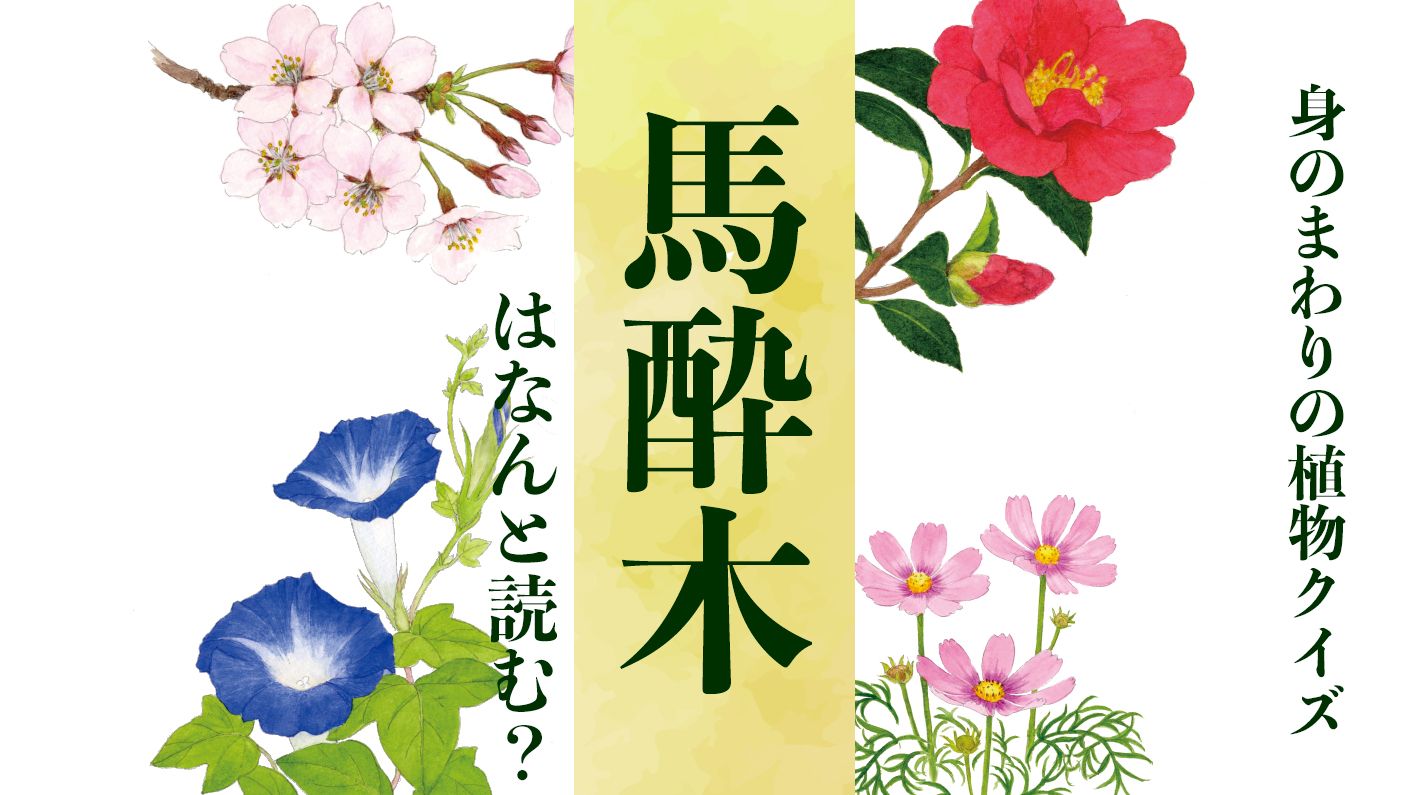【馬酔木】はなんと読む?〈身のまわりの植物クイズに挑戦!〉