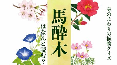 【馬酔木】はなんと読む?〈身のまわりの植物クイズに挑戦!〉