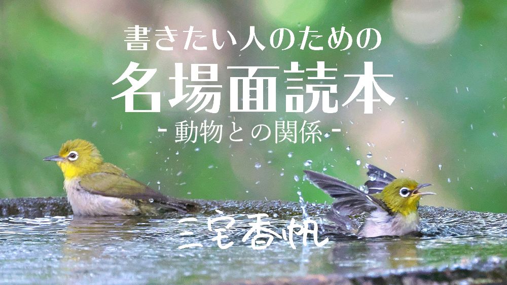 おもいっきり人間の目線を通して 動物 の姿を描くことで見える 魅力的な関係 小川洋子 ことり に見る名場面 21年9月9日 Biglobeニュース