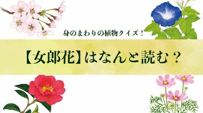 【女郎花】はなんと読む?〈身のまわりの植物クイズに挑戦!〉