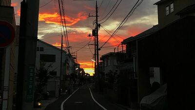 末井昭「素っ裸で町を走り、朝まで麻雀…〈心身の健康〉から最も遠かった男の現在」