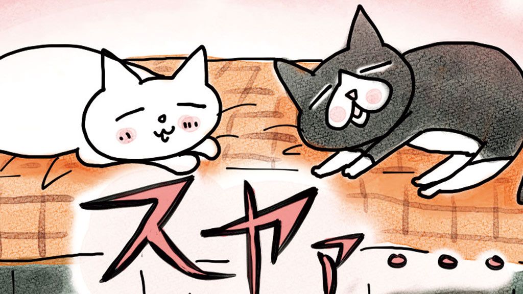 我が家の大人気スポット《猫のカプセルホテル》の正体は……