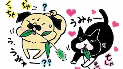 ニャンコまっしぐら!ねこじゃらしの季節。食いしんぼパグの反応は……