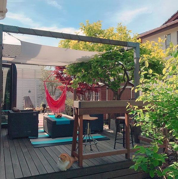 益子直美 私はバレーボールが嫌いだった 50歳で心房細動が見つかって気づいた 選手時代からのストレス 健康 婦人公論 Jp