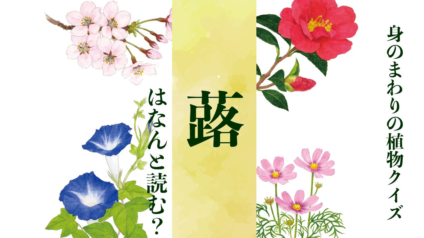 【蕗】はなんと読む?〈身のまわりの植物クイズに挑戦!〉