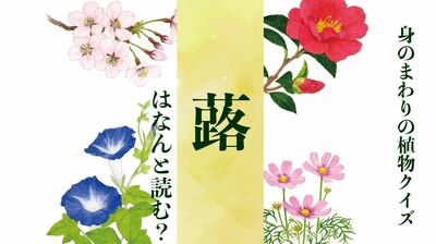 【蕗】はなんと読む?〈身のまわりの植物クイズに挑戦!〉