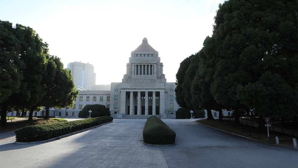 【「改憲勢力」って何?】専門家が気になるワードを解説!