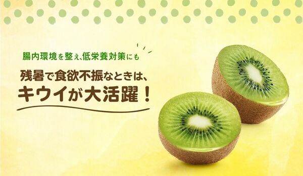 <腸内環境を整え、低栄養対策にも>残暑で食欲不振なときは、キウイが大活躍!