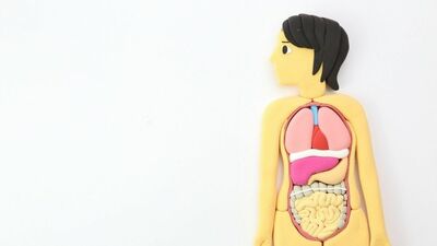 山本健人(外科医けいゆう)「人間の片足は10キロ!簡単に歩けるのはなぜ? うなずいても視界が揺れないのは? 人体の不思議と病気の成り立ち。医学は知れば知るほど面白い」