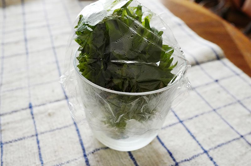 画像 写真 今日の簡単レシピ ご飯がススム 大葉のごまめんつゆ漬け １分でできて調理道具ナシ 余りがちな食材代表 大葉を使い切る 連載 面倒なことは全部ナシ ミニマムごはん日記 ２ 話題 婦人公論 Jp