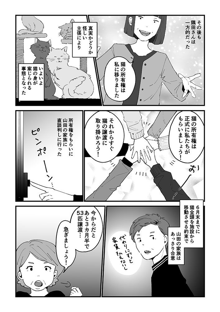 3ページ目 読者手記漫画 保護猫詐欺 被害者たちの奮闘記 タイムリミットは3ヵ月半 53匹の命を救え 平均年齢65歳 女5人で戦って 読者体験手記 婦人公論 Jp