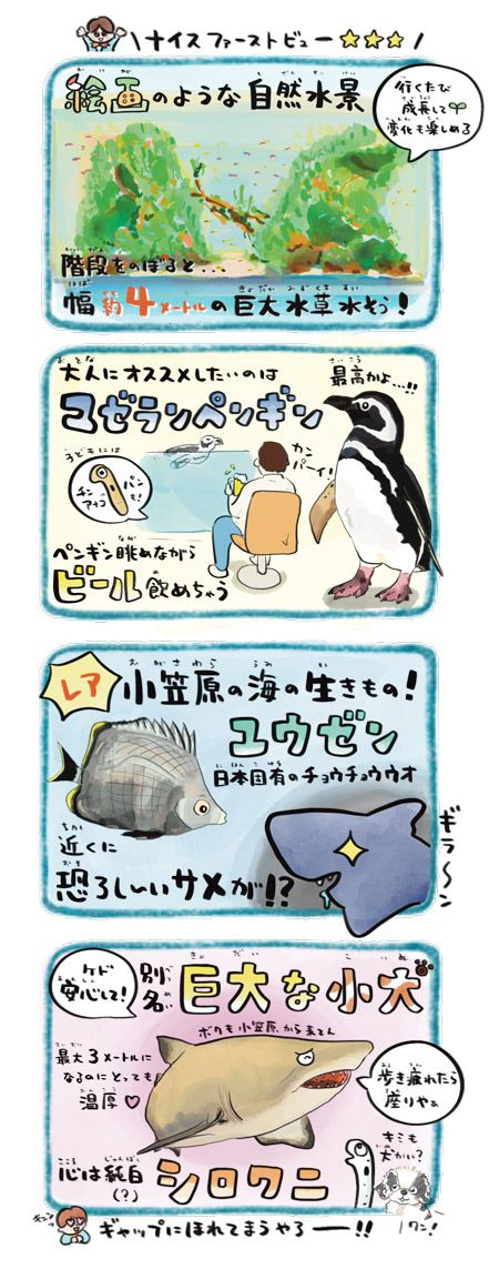 2ページ目 水族館の人気者 約0匹のチンアナゴが森を作る東京 すみだ水族館 で世界自然遺産 小笠原諸島の海を味わう 日本一の飼育種類数を誇る三重 鳥羽水族館 全国クセすご水族館図鑑 教養 婦人公論 Jp