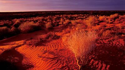 印象的な「砂漠」の撮り方は？広い場所では撮り方が曖昧になりがち。細かくシミュレーションを