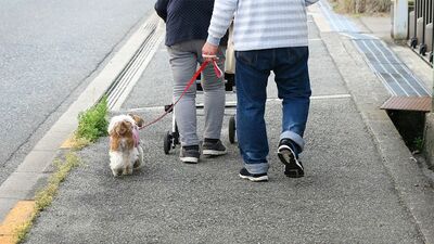 突然大声で怒鳴る父、醤油をドボドボかける母…老いた親の困った言動、そのワケは?