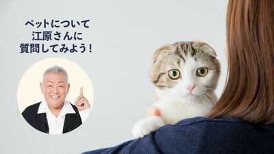 【締切間近!】ご自慢のペット写真を募集中! 江原啓之さんのムックに掲載されるかも。