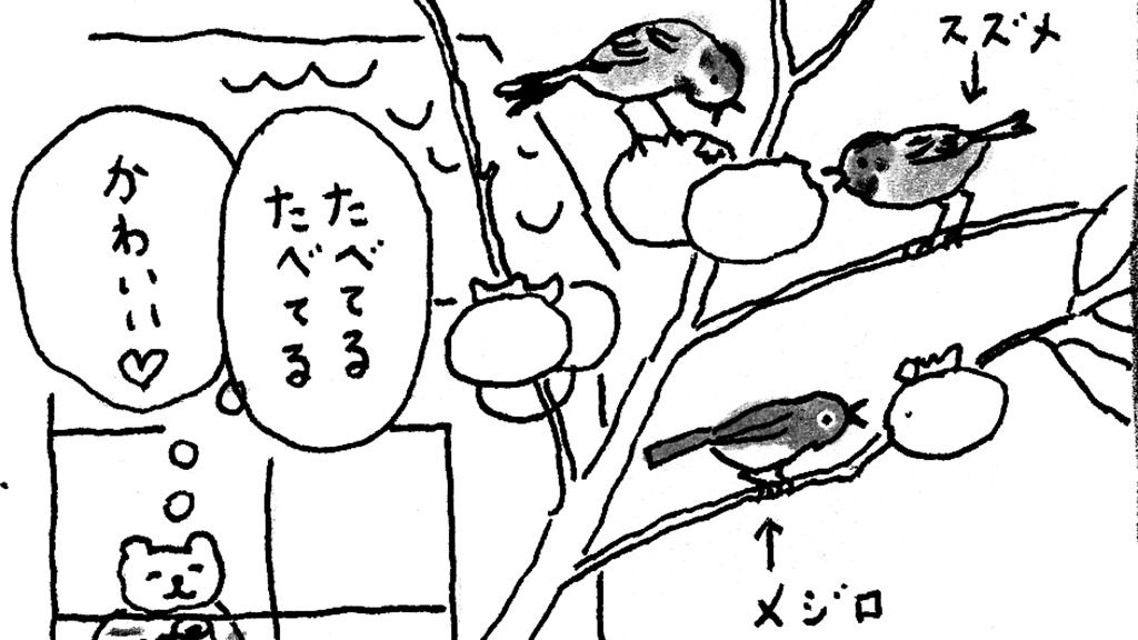 「火曜日のくま子さん」にぎやかな秋みつけた