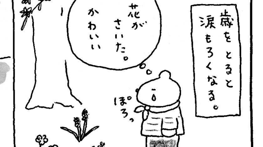 「火曜日のくま子さん」この毎日は、あたり前じゃない