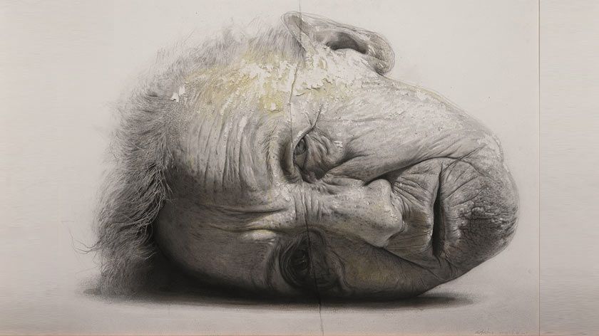 「スペインの現代写実絵画─MEAM」圧倒的なリアリティ