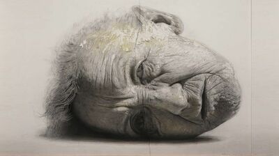 「スペインの現代写実絵画─MEAM」圧倒的なリアリティ