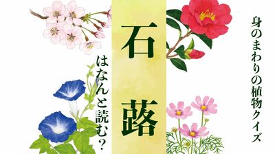 【石蕗】はなんと読む?〈身のまわりの植物クイズに挑戦!〉