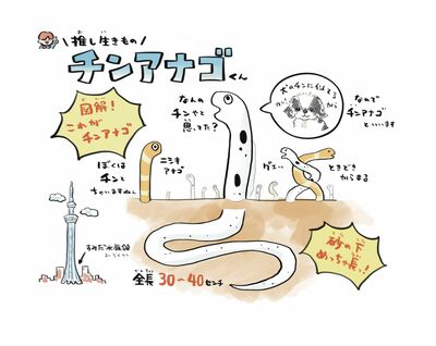 水族館の人気者！約200匹のチンアナゴが森を作る東京「すみだ水族館」で世界自然遺産・小笠原諸島の海を味わう