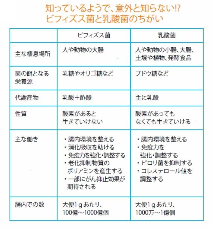 2ページ目）病原体から体を守る乳酸菌やビフィズス菌。知っておきたい「菌活」のQ＆A 心とからだの養生学｜健康｜婦人公論.jp