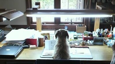 伊集院静 愛犬との別れの日。「よく、ガンバッタナ」おだやかな表情で旅立ったアイスと暮らした16年は、天使がやってきたような至福の時間だった
