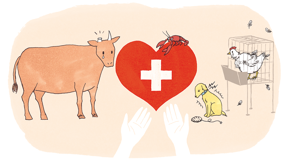 エビを生きたままゆでるのはNG⁉️ 動物を愛する国スイス